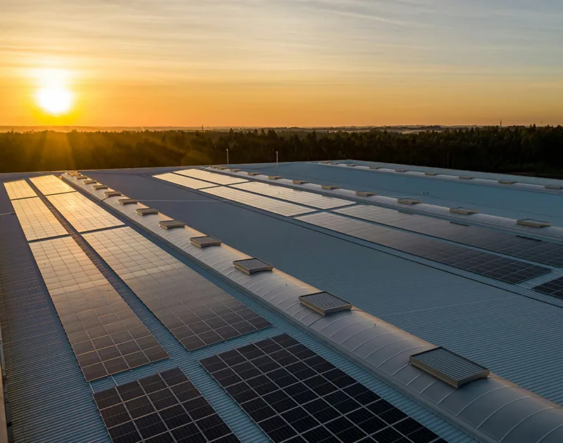 Syens Elemental Analytical Instruments for New Energy Materials