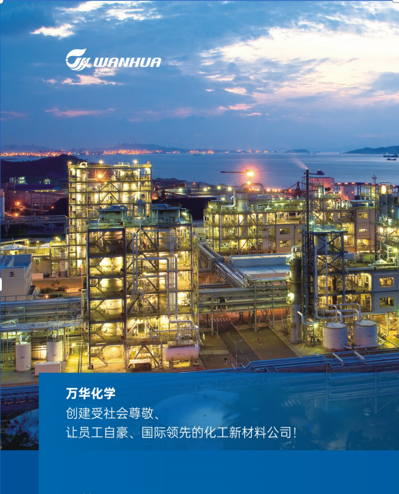 Wanhua_Chemical.png